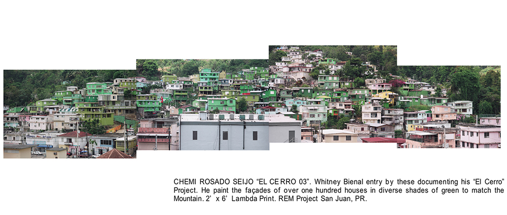 chemi rosado seijo-"El Cerro 03" 2' x 6'REM PROJECT Galeria, San Juan PR