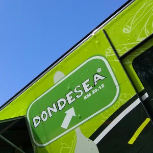 Dondesea